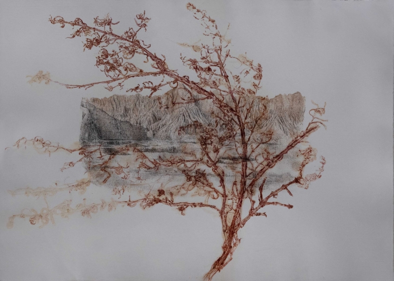 Still life of a landscape