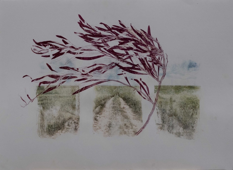 Still life of a landscape