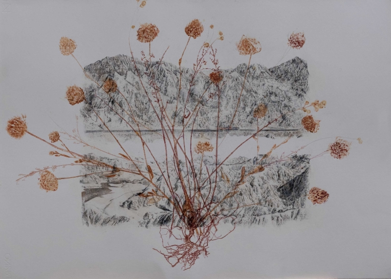 Still life of a landscape