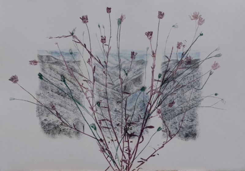 Still life of a landscape