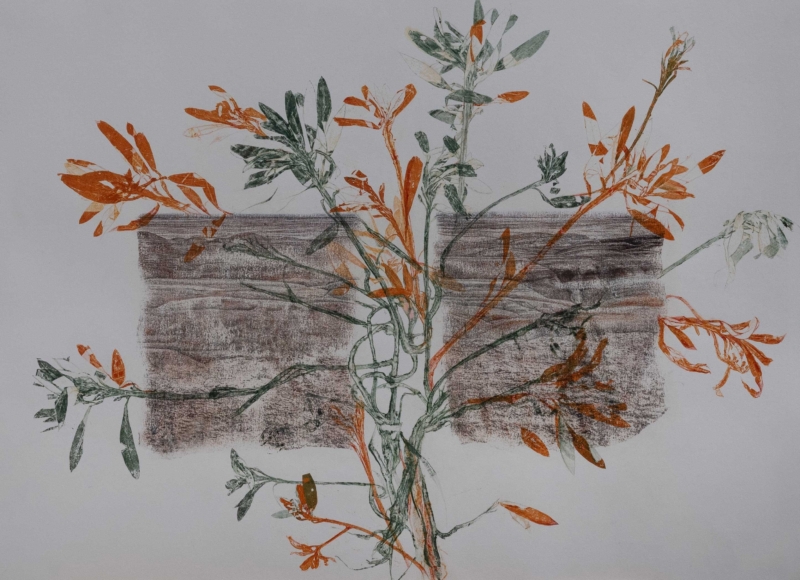 Still life of a landscape