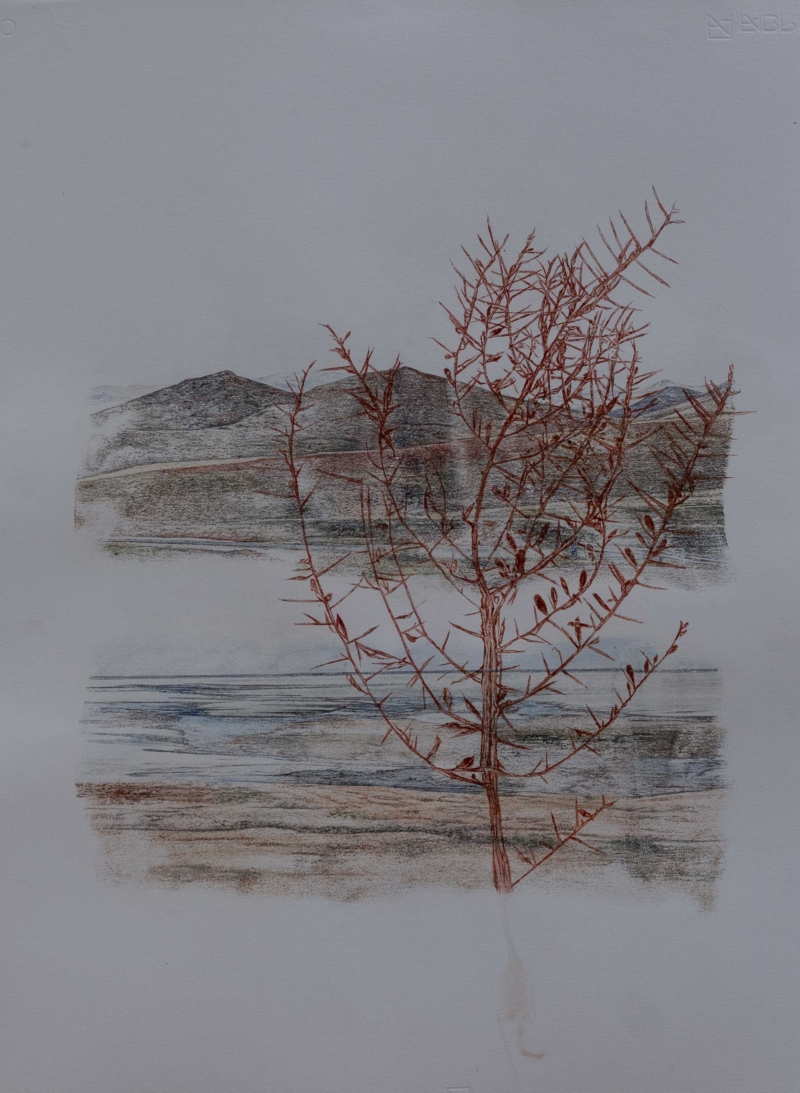 Still life of a landscape