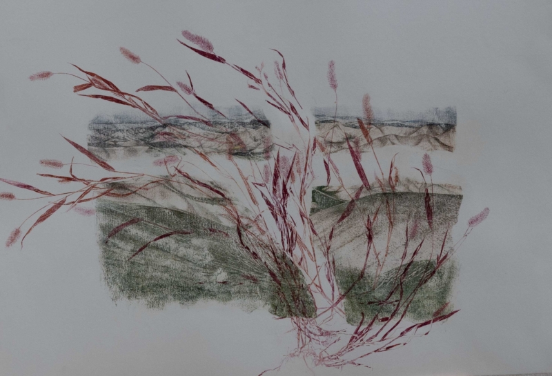 Still life of a landscape