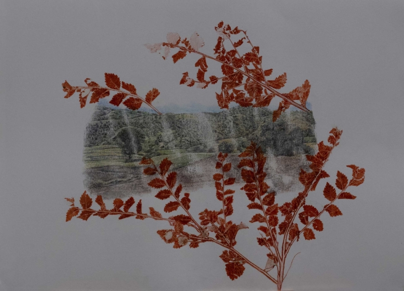 Still life of a landscape