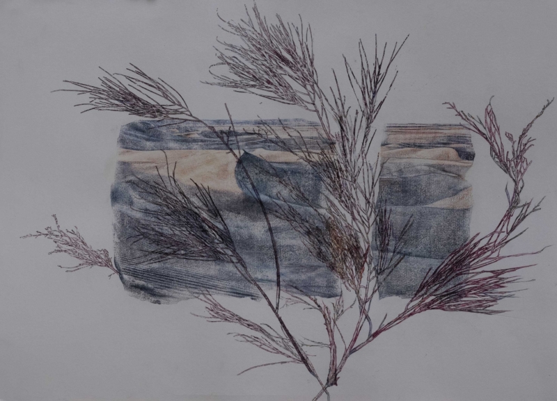 Still life of a landscape