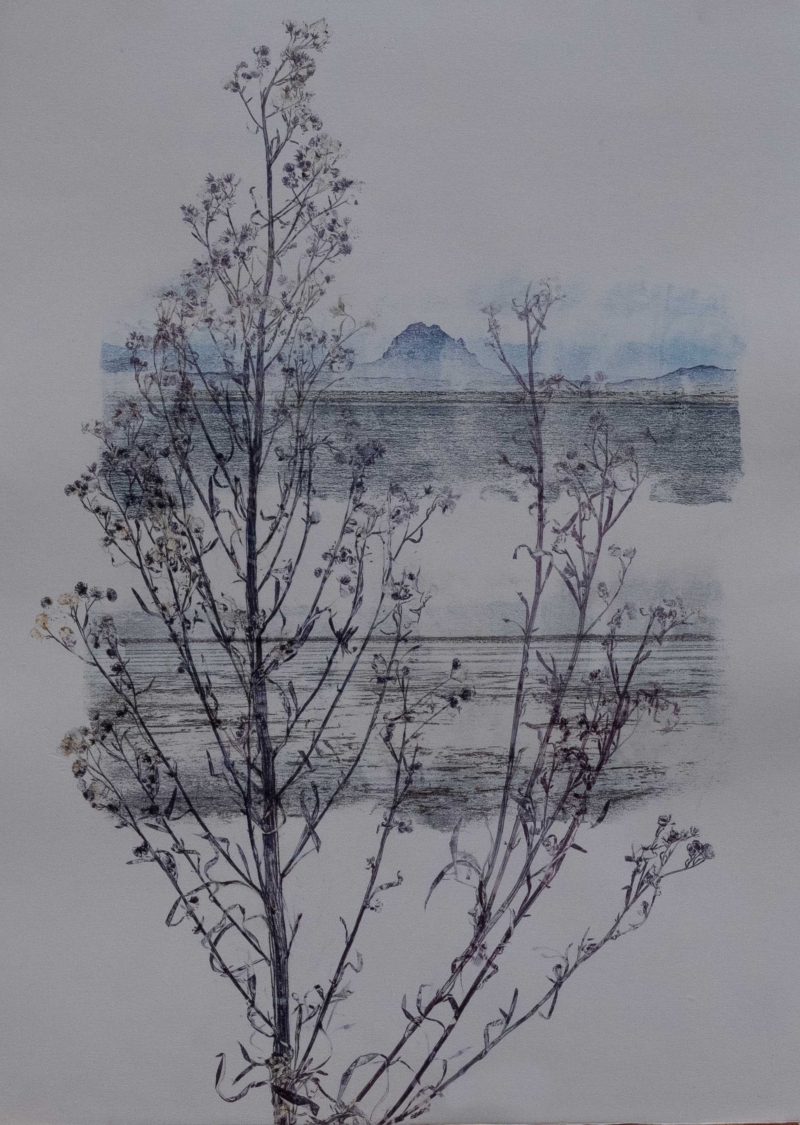 Still life of a landscape