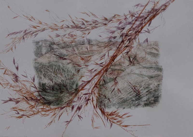 Still life of a landscape