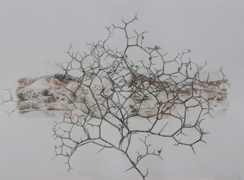 Still life of a landscape