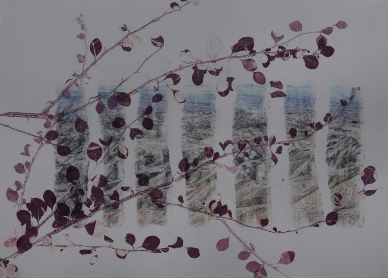 Still life of a landscape