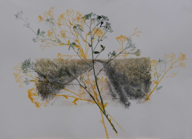 Still life of a landscape