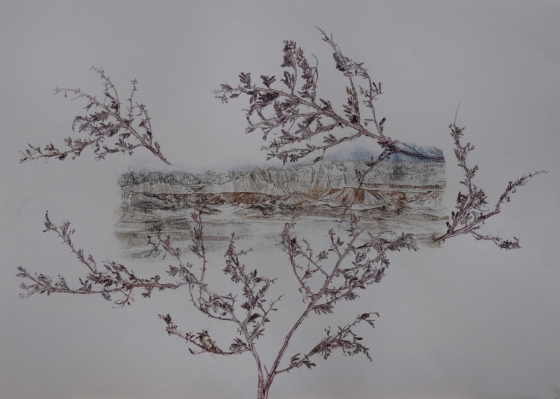 Still life of a landscape