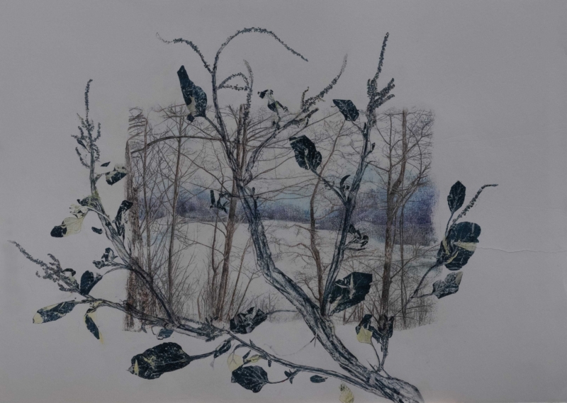 Still life of a landscape